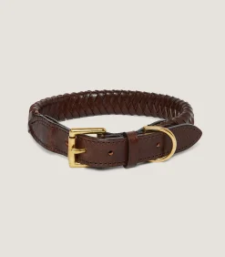 Braided Leather Dog Collar in Dark Brown