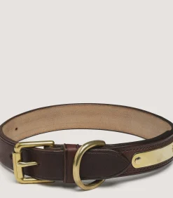 Bridle Leather Dog Collar In Brown.