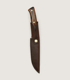 Coldharbour Hunter Knife - 5 inch In Walnut