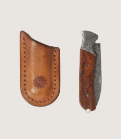 Falcon Folding Knife In Steel