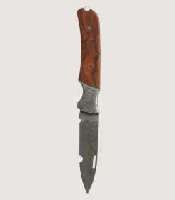 Falcon Folding Knife In Steel