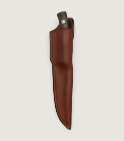 The Damascus Red In Grey Poplar